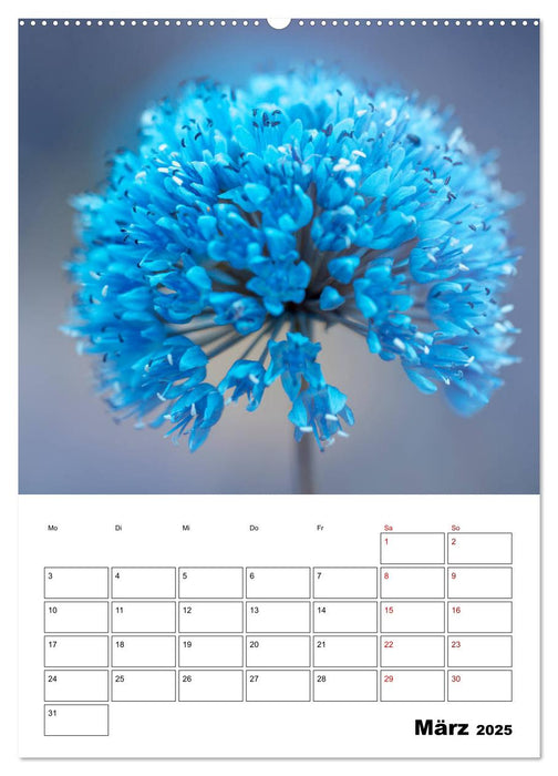 Blütentraum in Blau (CALVENDO Premium Wandkalender 2025)