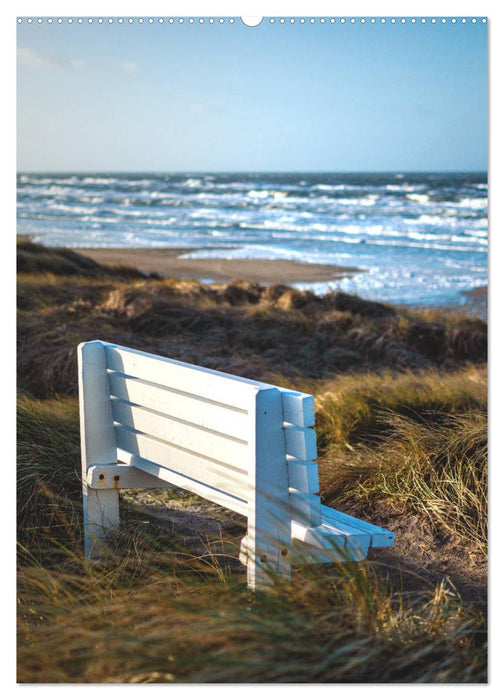 Dänemarks Nordseeküste - Vom Ringkøbing-Fjord bis zur Jammerbucht (CALVENDO Premium Wandkalender 2025)