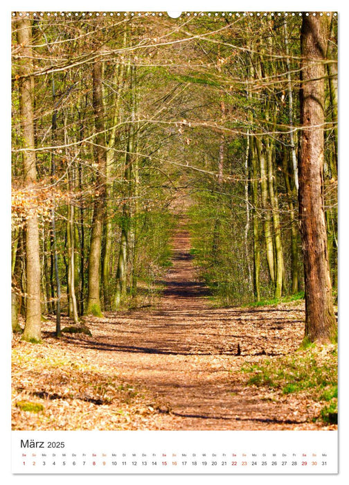 Herrliche Wanderwege (CALVENDO Wandkalender 2025)