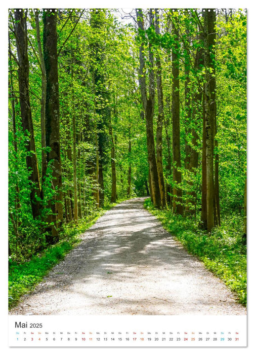 Herrliche Wanderwege (CALVENDO Wandkalender 2025)