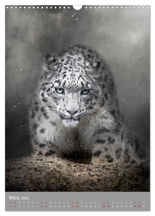 Portraits of Animals (CALVENDO Wandkalender 2025)