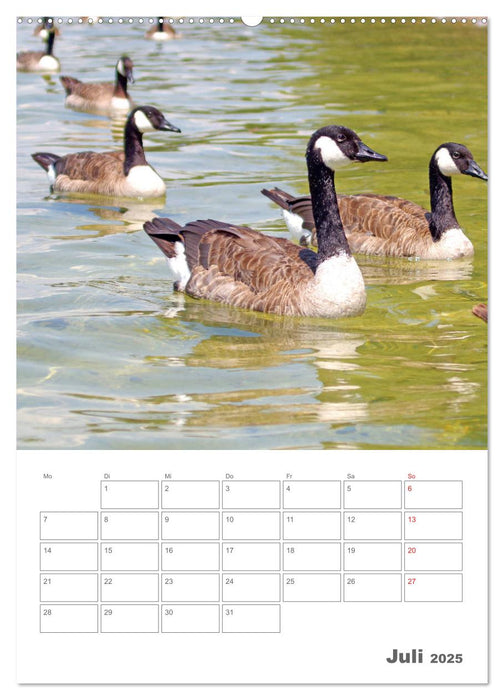 Mein Starnberger See - Die Perle im Fünfseenland im Jahresverlauf (CALVENDO Premium Wandkalender 2025)