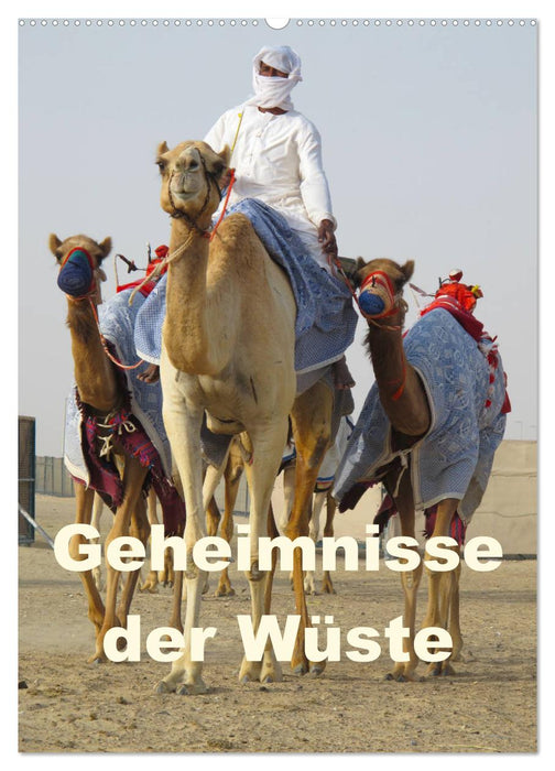 Geheimnisse der Wüste (CALVENDO Wandkalender 2025)