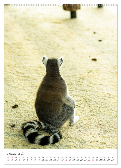 Tierwelten - aus dem ältesten Tiergarten der Welt (CALVENDO Premium Wandkalender 2025)