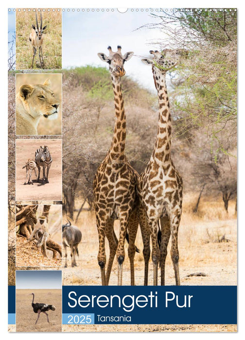 Serengeti Pur - Tansania (CALVENDO Wandkalender 2025)