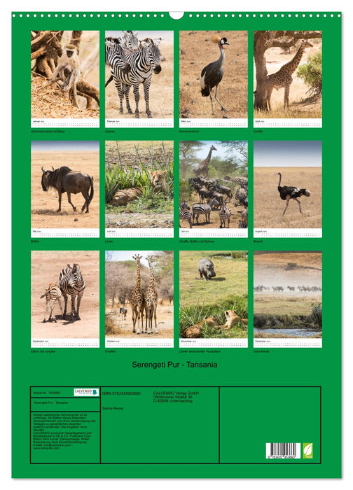 Serengeti Pur - Tansania (CALVENDO Wandkalender 2025)