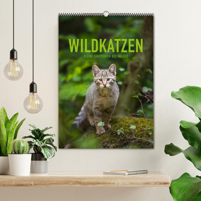 Wildkatzen - Kleine Samtpfoten des Waldes (CALVENDO Wandkalender 2025)