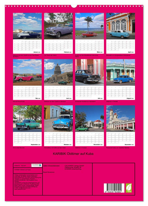 KARIBIK Oldtimer auf Kuba (CALVENDO Premium Wandkalender 2025)