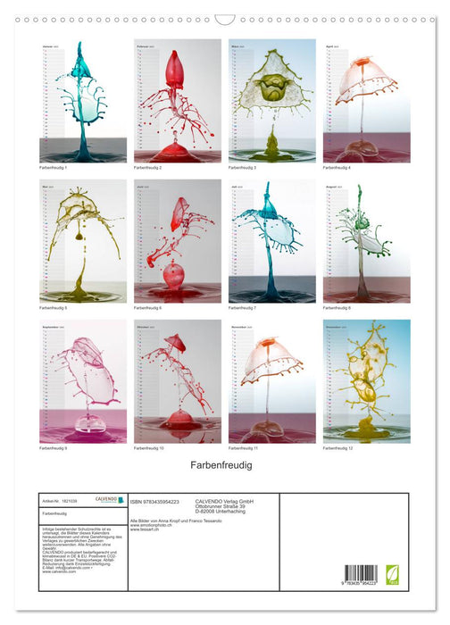 Farbenfreudig (CALVENDO Wandkalender 2025)