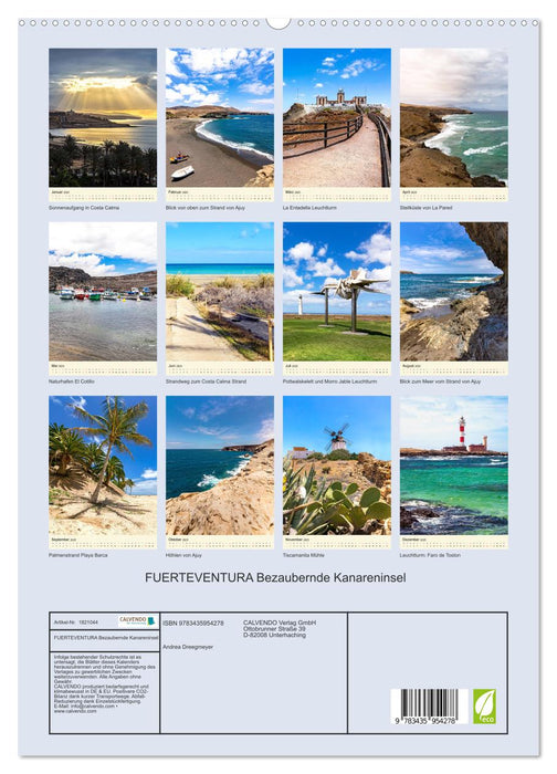 FUERTEVENTURA Bezaubernde Kanareninsel (CALVENDO Premium Wandkalender 2025)