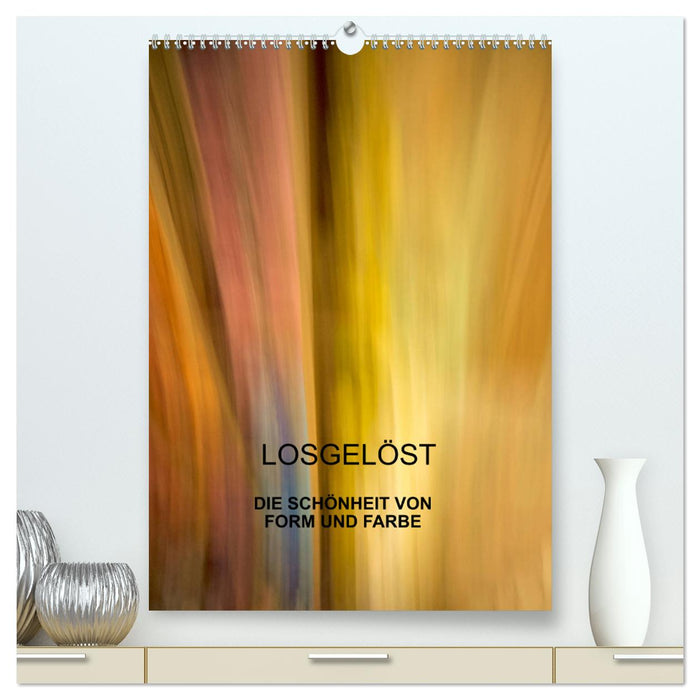 Losgelöst (CALVENDO Premium Wandkalender 2025)