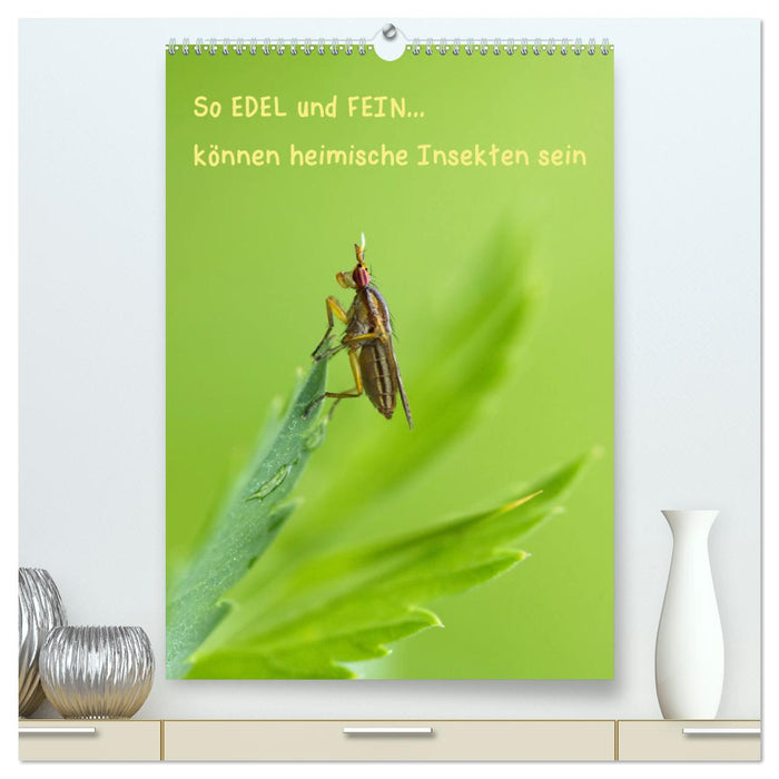 So EDEL und FEIN... können heimische Insekten sein (CALVENDO Premium Wandkalender 2025)