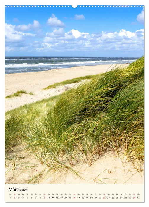 LANGEOOG Strandspaziergang (CALVENDO Premium Wandkalender 2025)