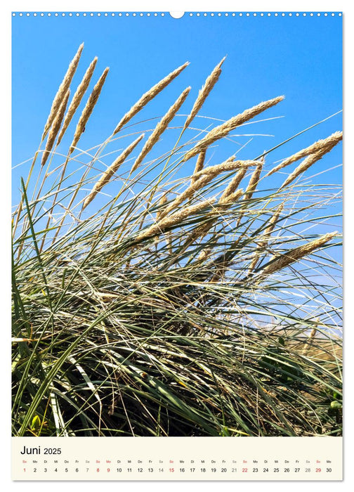 LANGEOOG Strandspaziergang (CALVENDO Premium Wandkalender 2025)