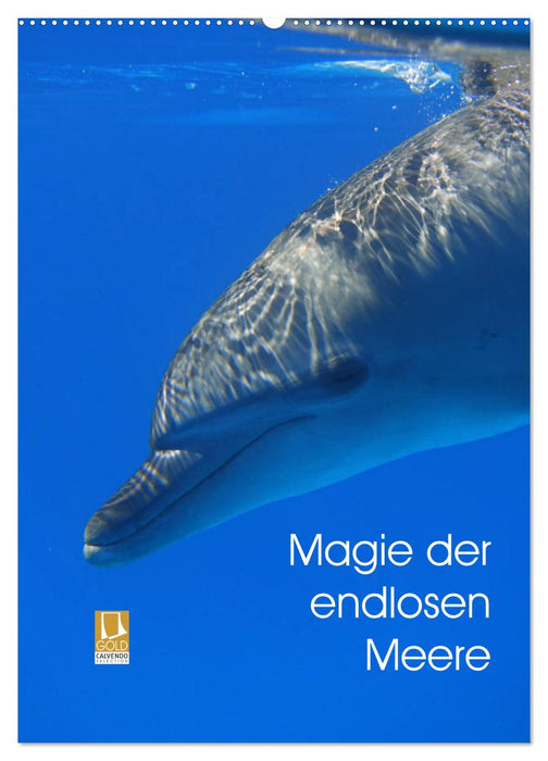 Magie der endlosen Meere (CALVENDO Wandkalender 2025)