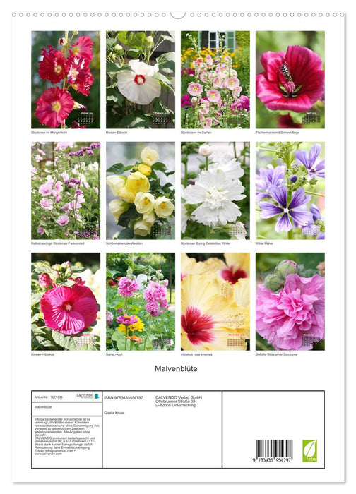 Malvenblüte (CALVENDO Premium Wandkalender 2025)