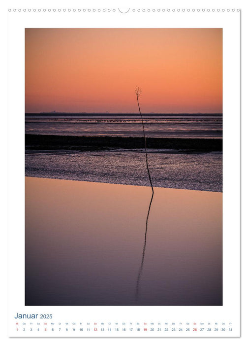 Ostfriesland - Fotos von forstfotografie (CALVENDO Wandkalender 2025)