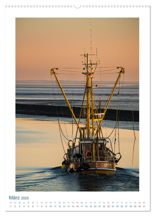 Ostfriesland - Fotos von forstfotografie (CALVENDO Wandkalender 2025)