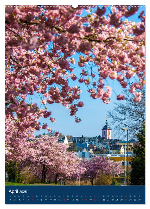 Siegener Stadtansichten (CALVENDO Premium Wandkalender 2025)