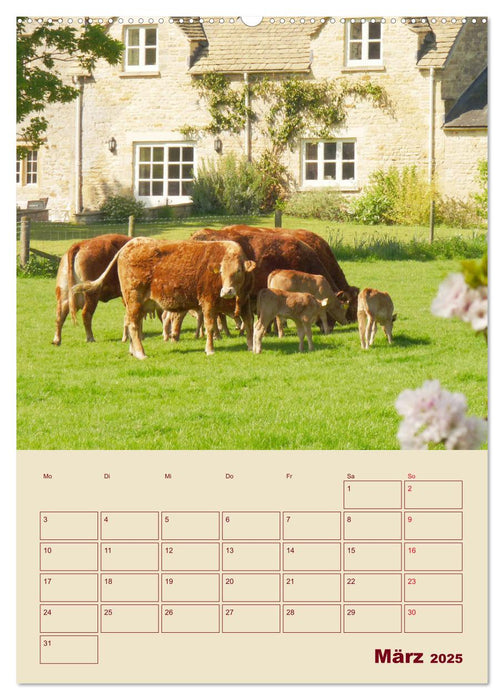 Die Cotswolds Englands grünes Herz (CALVENDO Premium Wandkalender 2025)