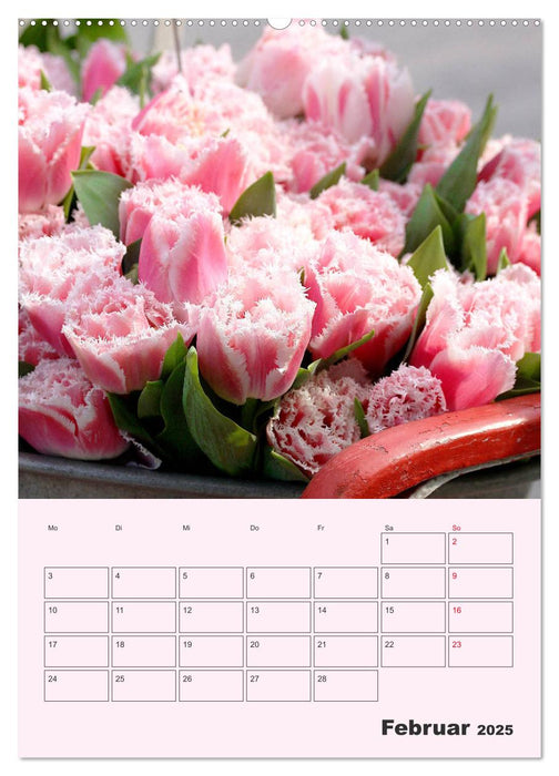 Wunderbare Tulpenwelt (CALVENDO Premium Wandkalender 2025)