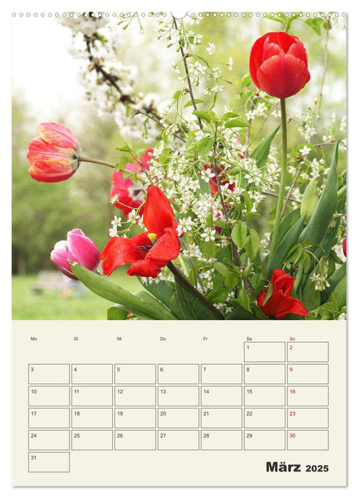 Wunderbare Tulpenwelt (CALVENDO Premium Wandkalender 2025)