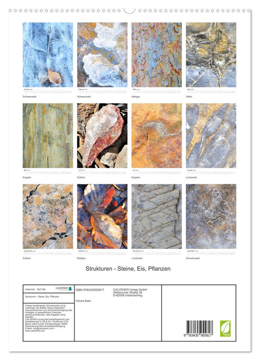 Strukturen - Steine, Eis, Pflanzen (CALVENDO Premium Wandkalender 2025)