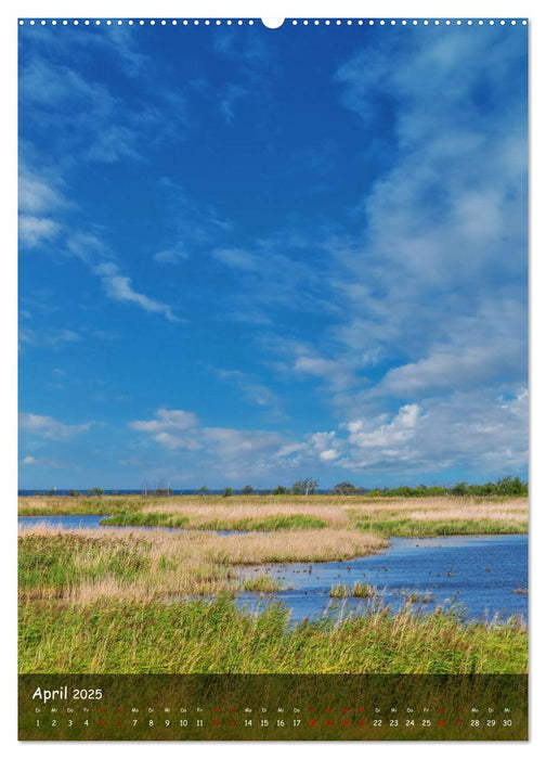 Wunderbare Ostseelandschaft Fischland-Darß-Zingst (CALVENDO Wandkalender 2025)