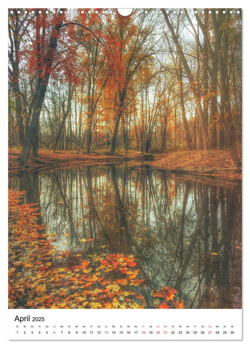 Wald und Natur (CALVENDO Wandkalender 2025)