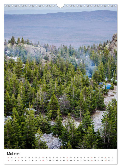 Wald und Natur (CALVENDO Wandkalender 2025)