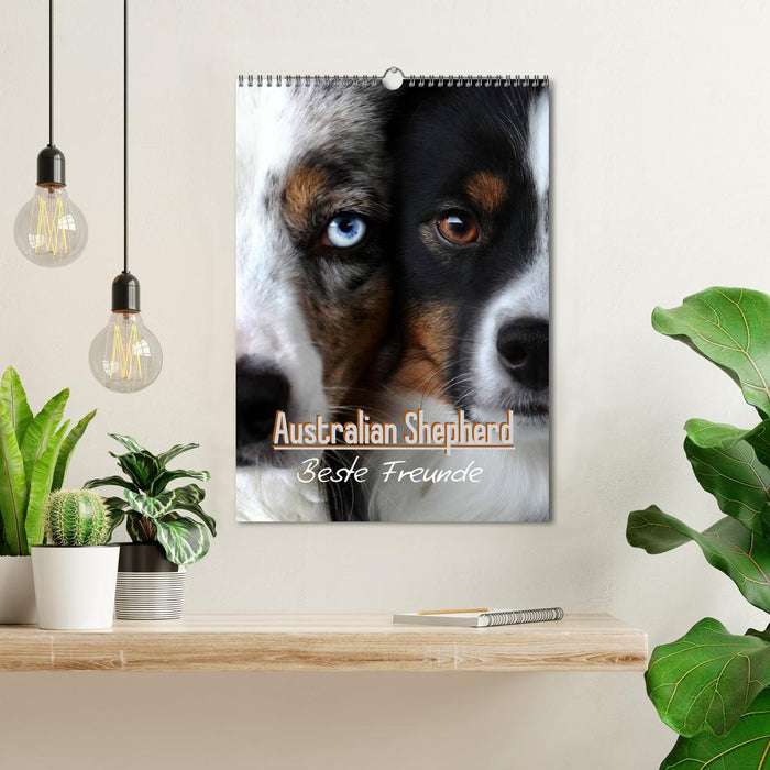 Australian Shepherd - Beste Freunde (CALVENDO Wandkalender 2025)