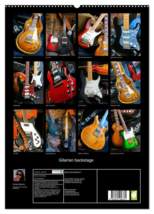 Gitarren backstage (CALVENDO Premium Wandkalender 2025)