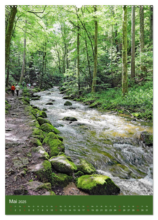 Schwarzwald Nord (CALVENDO Wandkalender 2025)