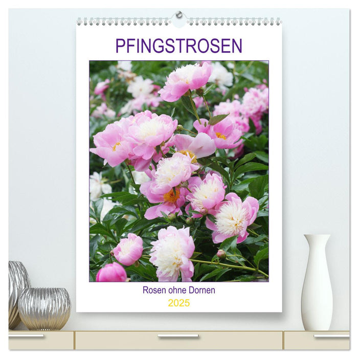 Pfingstrosen Rosen ohne Dornen (CALVENDO Premium Wandkalender 2025)