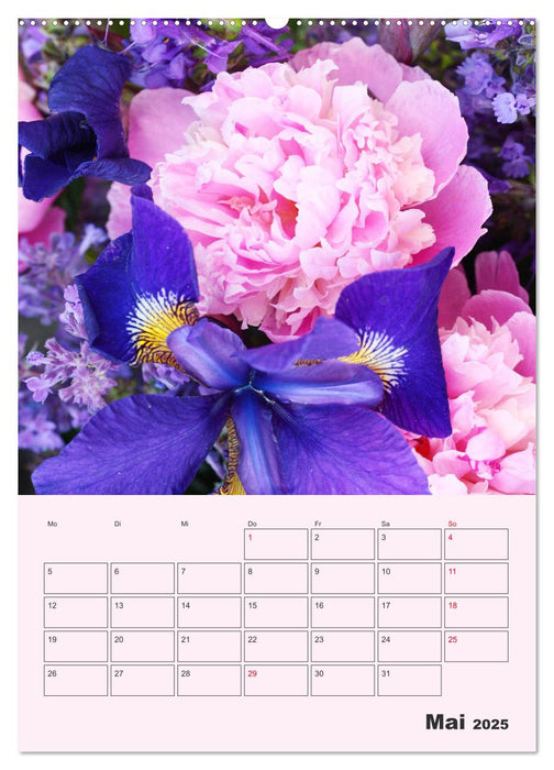 Pfingstrosen Rosen ohne Dornen (CALVENDO Premium Wandkalender 2025)
