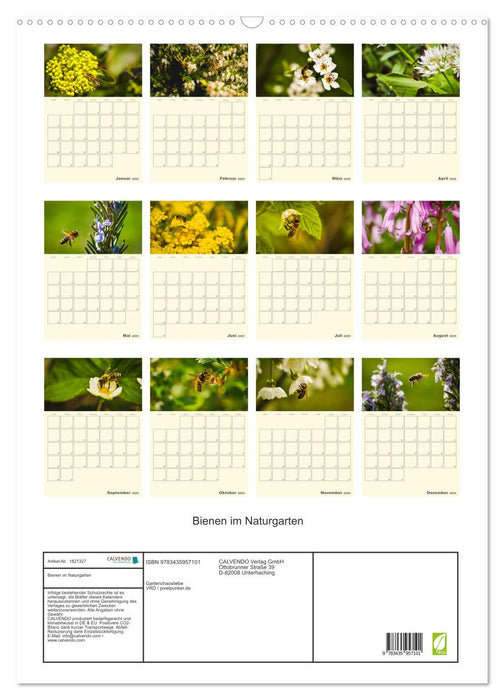 Bienen im Naturgarten (CALVENDO Wandkalender 2025)