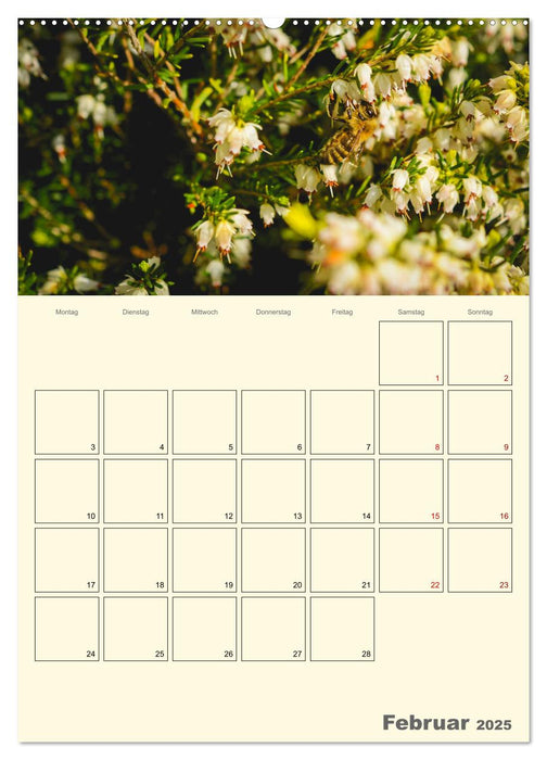 Bienen im Naturgarten (CALVENDO Wandkalender 2025)