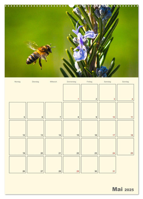 Bienen im Naturgarten (CALVENDO Wandkalender 2025)