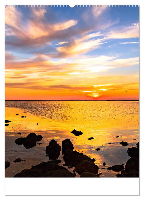 Borkum Strandspaziergang (CALVENDO Premium Wandkalender 2025)