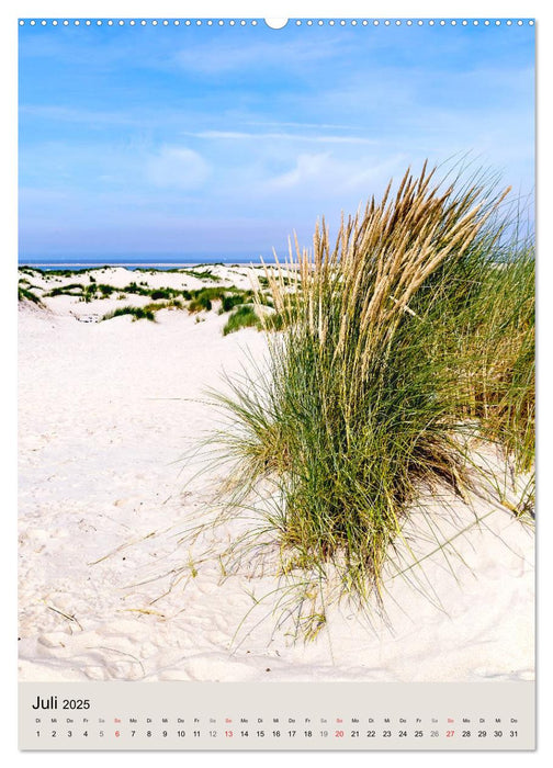 Borkum Strandspaziergang (CALVENDO Premium Wandkalender 2025)