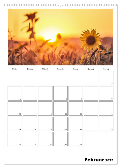 Bayerische Bergwelten (CALVENDO Premium Wandkalender 2025)