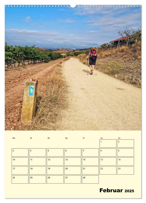 Buen Camino - Mein Jakobsweg - Camino Francés (CALVENDO Premium Wandkalender 2025)