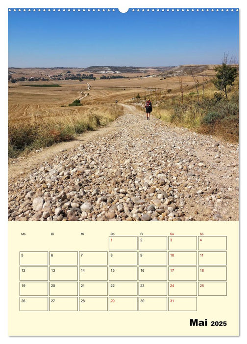 Buen Camino - Mein Jakobsweg - Camino Francés (CALVENDO Premium Wandkalender 2025)