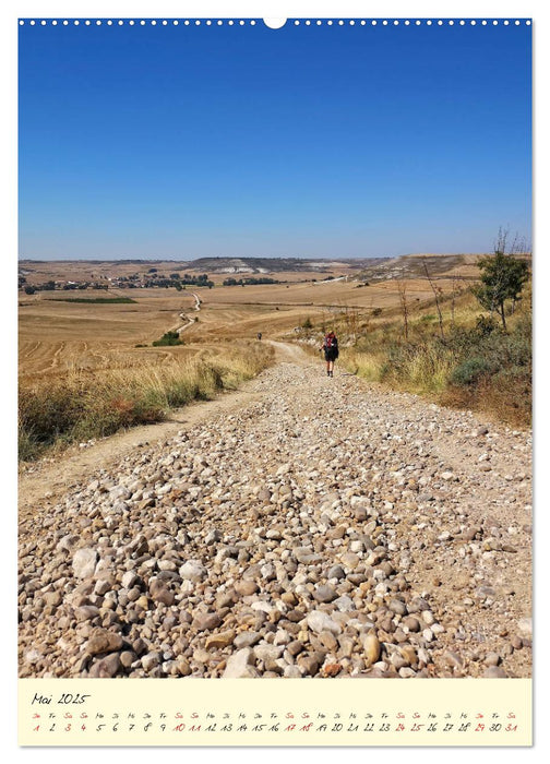 Buen Camino - Auf dem Jakobsweg - Camino Francés (CALVENDO Premium Wandkalender 2025)