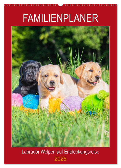 Familienplaner - Labrador Welpen entdecken die Welt (CALVENDO Wandkalender 2025)