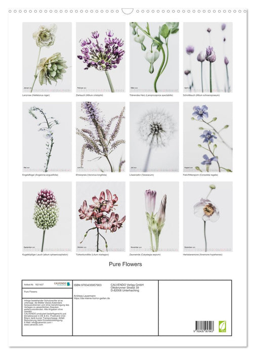 Pure Flowers (CALVENDO Wandkalender 2025)