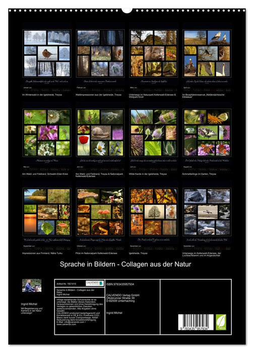 Sprache in Bildern - Collagen aus der Natur (CALVENDO Premium Wandkalender 2025)
