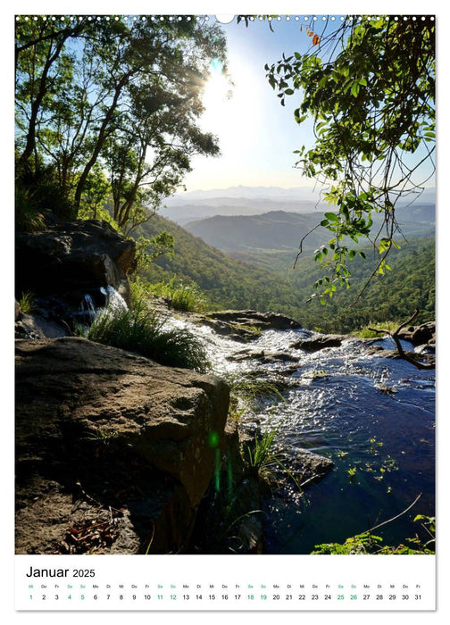 Regenwald - Australien (CALVENDO Premium Wandkalender 2025)