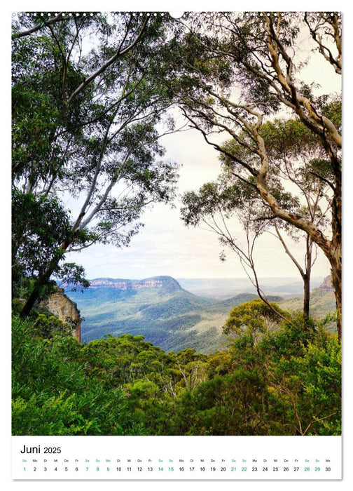 Regenwald - Australien (CALVENDO Premium Wandkalender 2025)