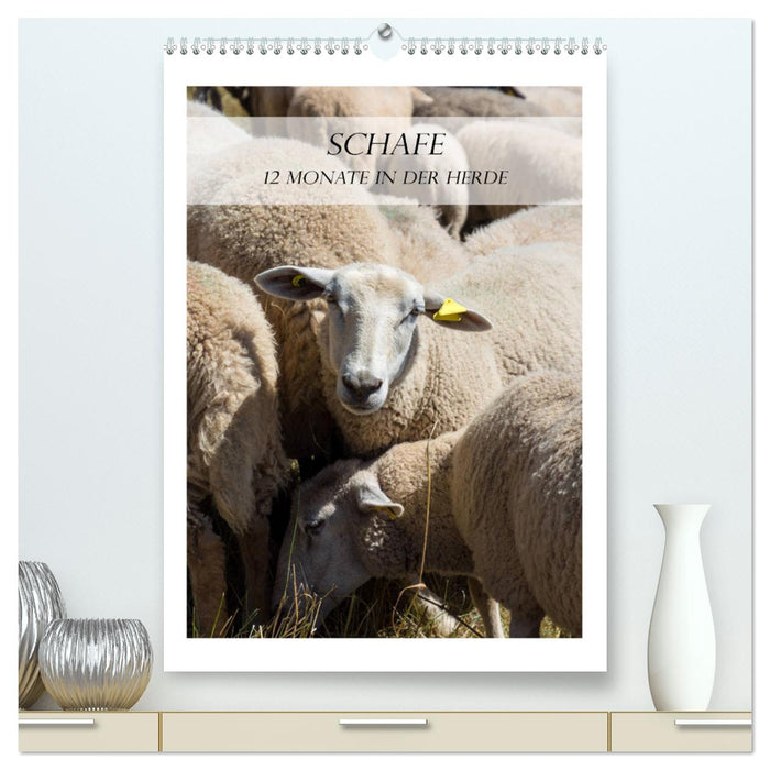 Schafe - 12 Monate in der Herde (CALVENDO Premium Wandkalender 2025)